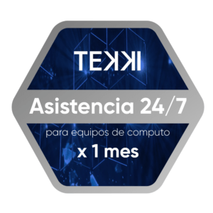 Tekki x 1 meses Asistencia para equipos de computo