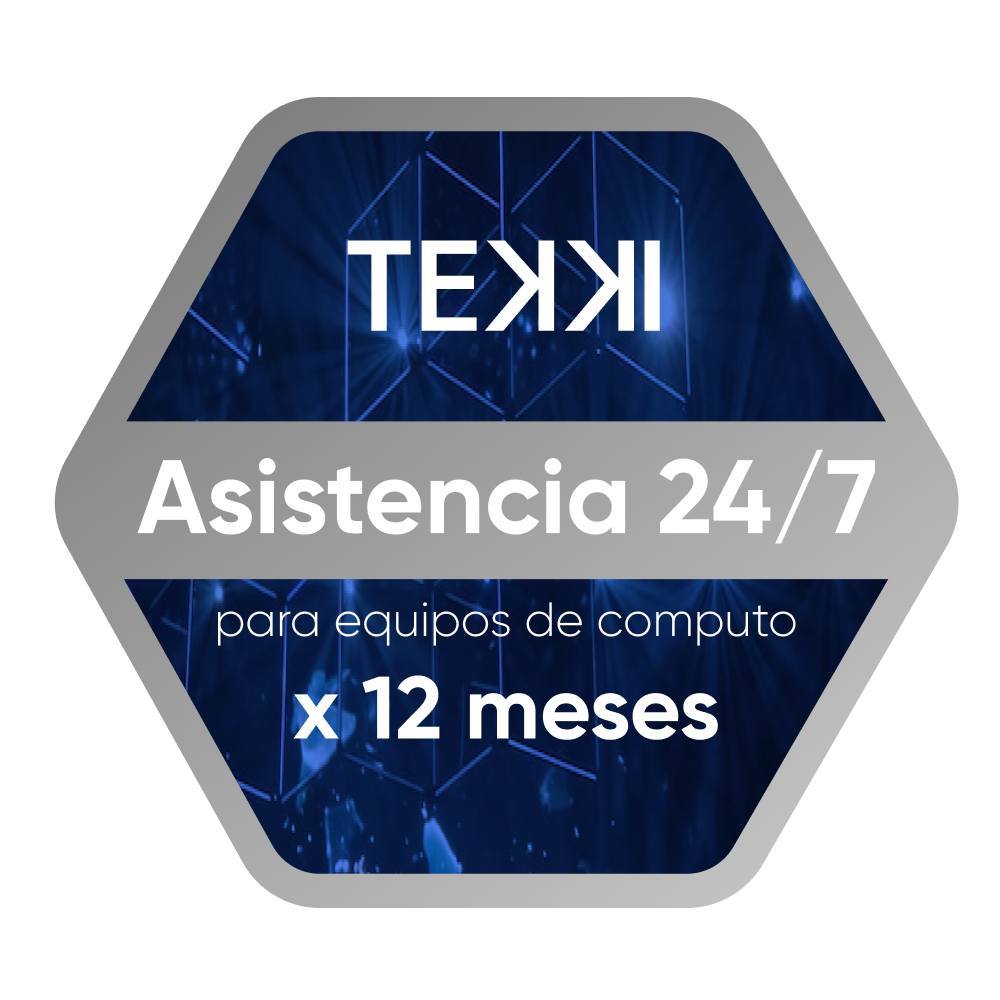 Tekki x 12 meses Asistencia para equipos de computo