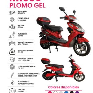 RX 350 Plomo Gel Motor 350W 48V Sp